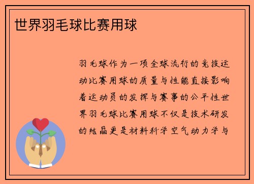 世界羽毛球比赛用球