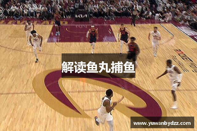 解读鱼丸捕鱼